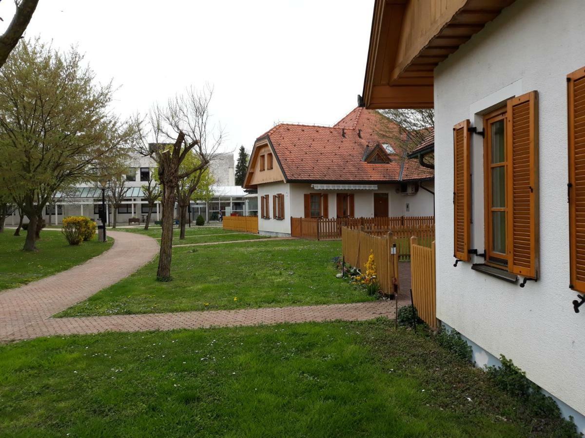 Apartma C-06, C-11 Apartment *