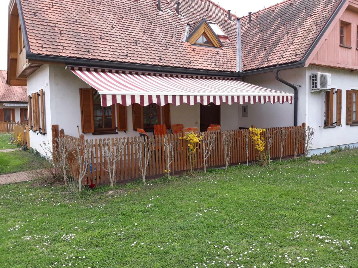 Apartma C-06, C-11 Apartment
