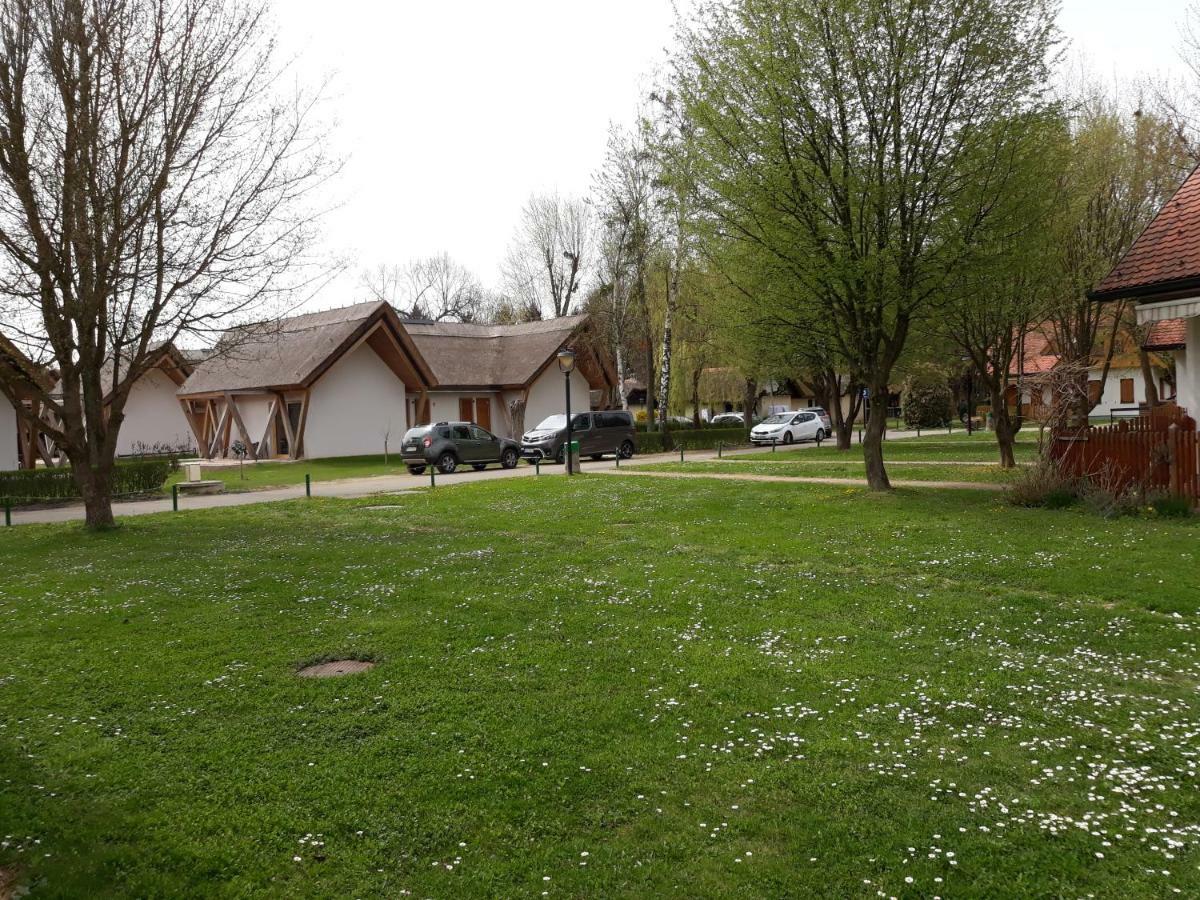 Apartma C-06, C-11 Apartment