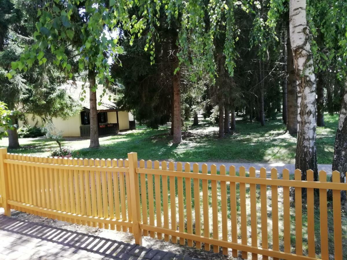 Apartma C-06, C-11 Apartment *